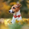 Maca Bates Fall Dog Collar with Sailor Bow Tie Autumn
