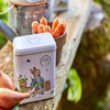 New English Teas Peter Rabbit Tea Tin with 40 English