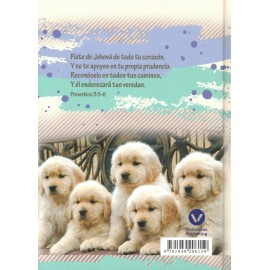 CADA D?A SIN PREOCUPACIONES - MATEO 6:25-34 - DIARIO Y CUADERNO DE NOTAS