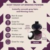 Style Edit Root Touch Up Powder Dark Brown