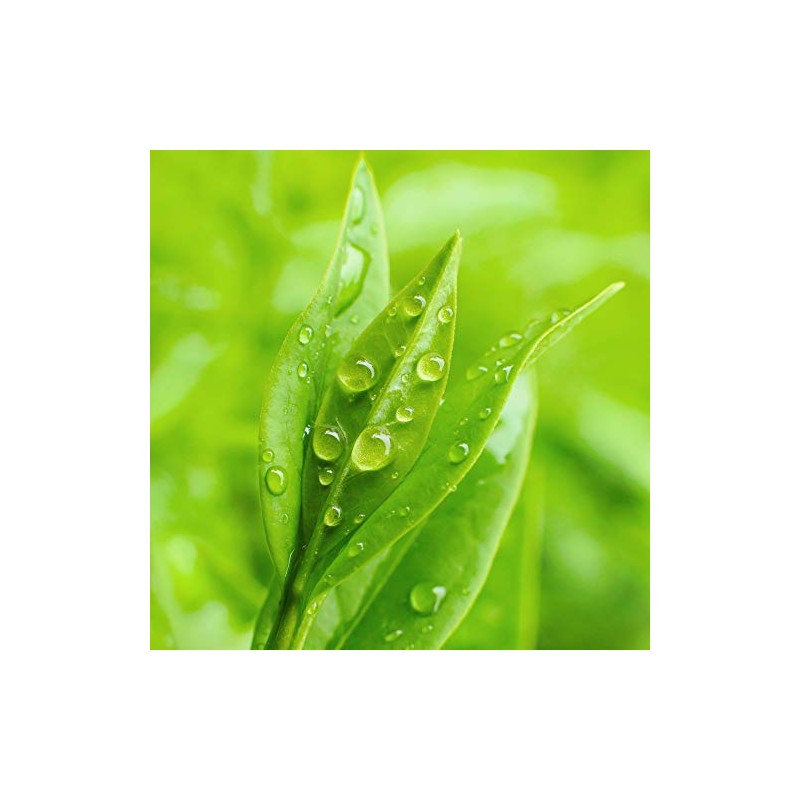 Bio Creative Lab Acne Control Cleansing Wipes, Petal Fresh Tea