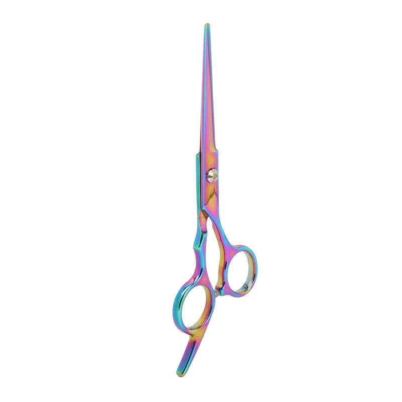 Hair Cutting Scissors Stainless Steel High Sharpness Ergonomic Handle Hairdressing