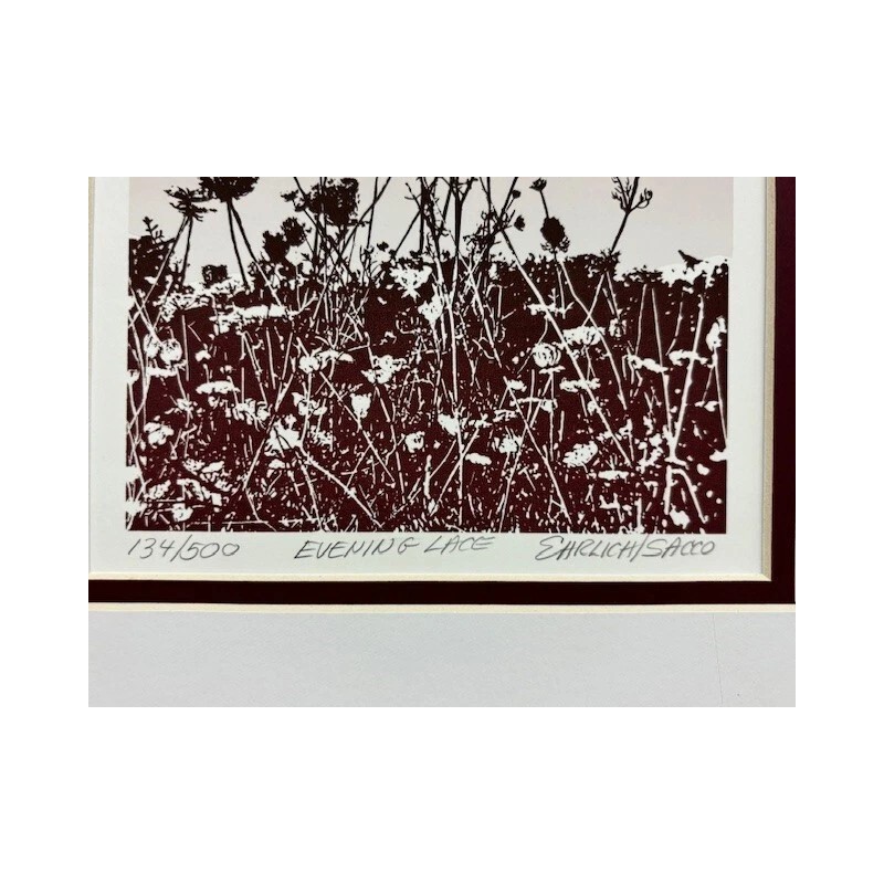 Luca Sacco & Robert Ehrlich "Willows" Hand Signed & #