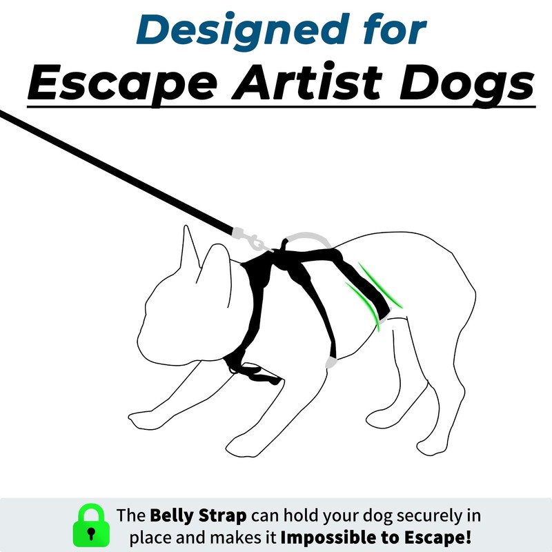 Wuffley Escape Proof Dog Harness and Leash Set, Lightweight Dog