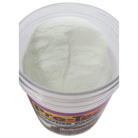 Pro-Tec Powder Paint 2 oz Jar (Glow White)