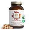 PURE SYNERGY Immune Health | Immune Support Mushroom Supplement |