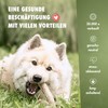 FOURLEGS® Natural Chew Snack for Dogs Made of 100% Deer