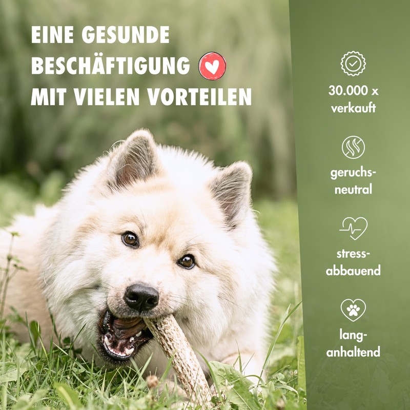 FOURLEGS® Natural Chew Snack for Dogs Made of 100% Deer