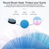5 Pack Electric Toothbrush Replacement Heads Compatible with Fairywill,Toothbrush Heads