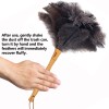 Aldwin Ostrich Feather Duster, 16 Inch Ostrich Feather Duster With