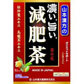 山本漢方製薬 濃い旨い減肥茶 24包