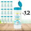 Juniper CLEAN 12 Pack Surface Cleaning Wipes with Bleach, All-Purpose