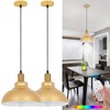 XIGUCUCN Battery Operated Pendant Lights 2 Pack,Rechargeable Pendant Light with