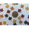 Leaf Confetti - Fall Confetti - Fall Party Decor -