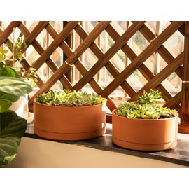 D'vine Dev 12 Inch Succulent Terracotta Shallow Pot with Drainage Hole and Saucer, Round Cylinder Planter Pot for Plant Flower, 40-Y-C-0