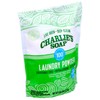 Charlie’s Soap Laundry Powder (100 Loads, 2 Pack) Hypoallergenic Deep
