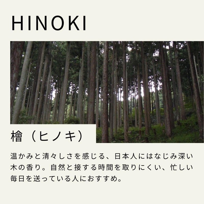 Tree of Life Hinoki (Japanese Cypress) Essential Oil 10ml Aroma