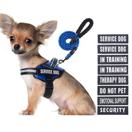 Service Dog Vest Harness and Leash Set, Animire in Training Dog Harness with 10 Dog Patches, Reflective Dog Leash with Soft Padded Handle for Small, Medium, Large, and Extra-Large Dogs (Blue,S)