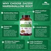 Zazzee USDA Organic Marshmallow Root 10:1 Extract, 3000 mg Strength,