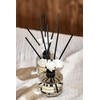 CULTURE & NATURE Reed Diffuser Set 6.7oz (200ml) Floral Bouquet
