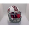 Riddell Edgewood Warriors Mini Football Helmet - Silver & Red