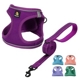 BELLA & PAL Dog Harness and Leash Set, Step-in Small Dog Harness for Extra Small Dogs, Soft Mesh Breathable Harness with Reflective Strip, Puppy Harness No Pull Harness for Small Dogs, Purple, XS