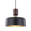 TeHenoo Pendant Lighting,Large Pendant Light,Brass Accent,Adjustable Metal Hanging Light Fixture