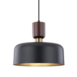 TeHenoo Pendant Lighting,Large Pendant Light,Brass Accent,Adjustable Metal Hanging Light Fixture for Kitchen, Dining Room, Black