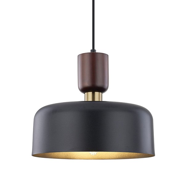 TeHenoo Pendant Lighting,Large Pendant Light,Brass Accent,Adjustable Metal Hanging Light Fixture
