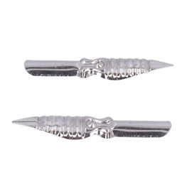 Calligraphy Nibs, 10pcs Metal Fountain Pen Spare Nibs Replacement Calligraphy Pen Nibs Cartoon Comic Pen Nib Set Lettering Tools for Artistic Writing and Practice