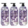On the Body Super Botanic Lavender Rosemary Body Wash 900g (3 packs) / 온더바디 수퍼보타닉 라벤더 로즈마리 바디워시 900g 3개