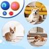 2pcs Bouncing Ball For Dogs,Interactive Dog Toys With Led Flash