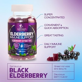 Elderberry Immune Support Gummies - Powerful Black Elderberry Extract Sambucus Nigra Vitamin Supplement - Natural Daily Immune Support Adults & Kids A