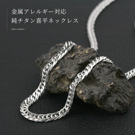 [e-Jeweler] Titanium Double Curb Necklace, Platinion-Plated, Hypoallergenic, Titanium, No Gemstone