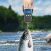 Fish Scale,110lb/50kg Large Handle,Large Backlit LCD Display,Digital Fish Scale with