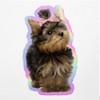Holographic Decal Stickers of Cute Dog Premium Waterproof Vinyl Decal