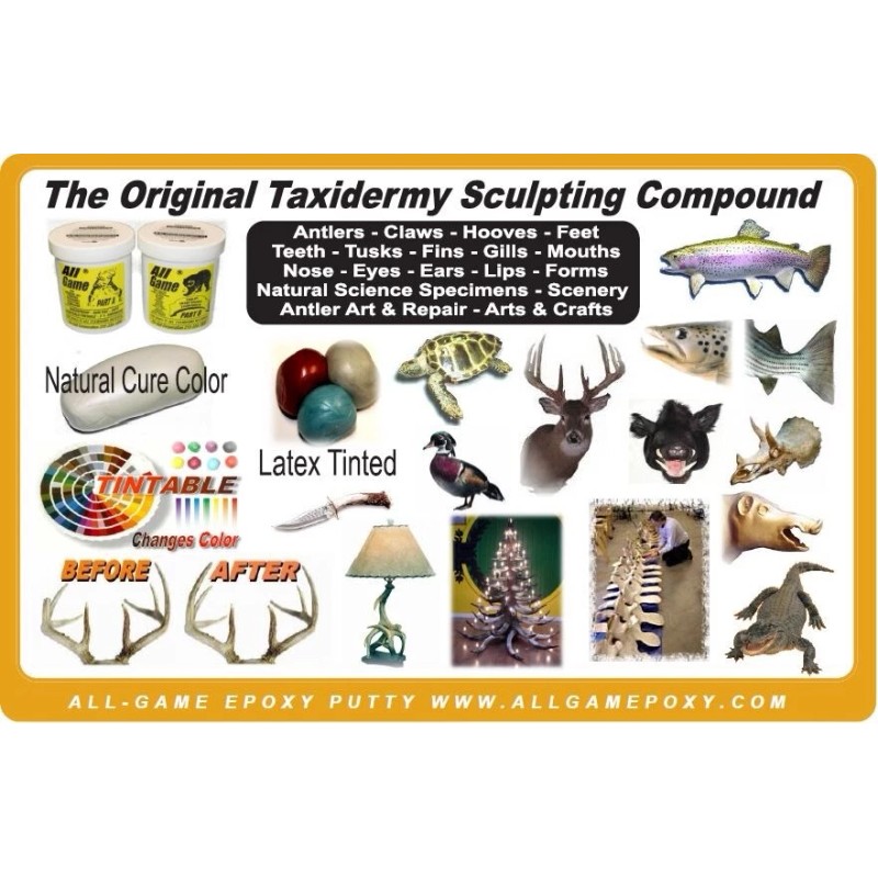 ALL GAME - ORIGINAL TAXIDERMY Epoxy Putty 1/2 LB KIT
