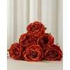 DuHouse 5Pcs Silk Roses Fake Burnt Orange Roses with Stems