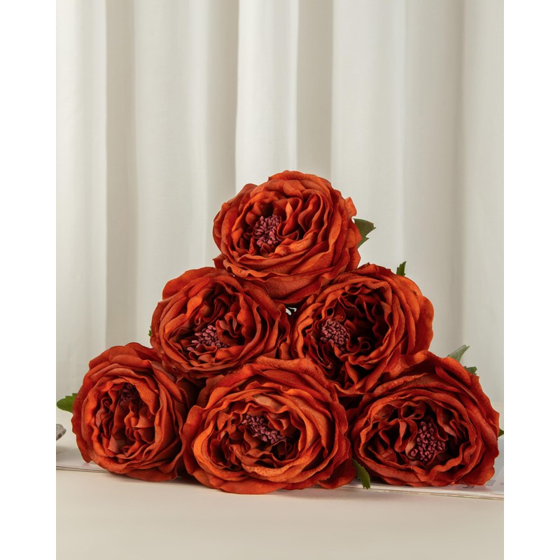 DuHouse 5Pcs Silk Roses Fake Burnt Orange Roses with Stems