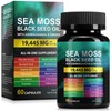 LTQXGT Ashwagandha Sea Moss Black Seed Oil 60 Grain