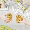 Ice Cube Tray with Lid and Bin, 56 Pcs Ice