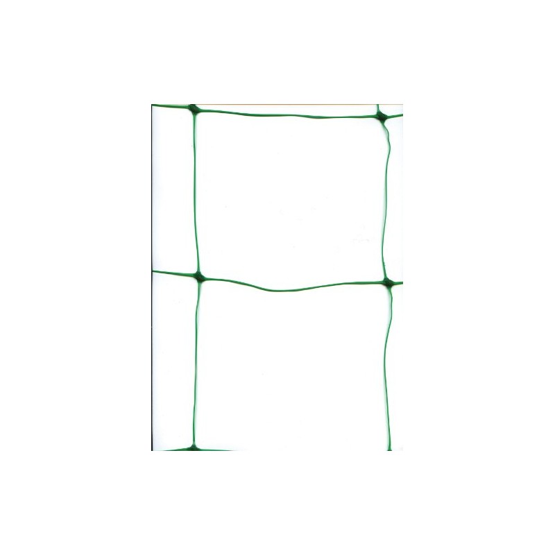 Greenfingers Pea and Bean Net 10m x 2m