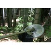 TAKAGI JIS Chip Saw, For Forestry and Bamboo Operations