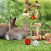 15PCS Rabbit Toys for Bunnies Boredom Enrichment with Wooden Guinea