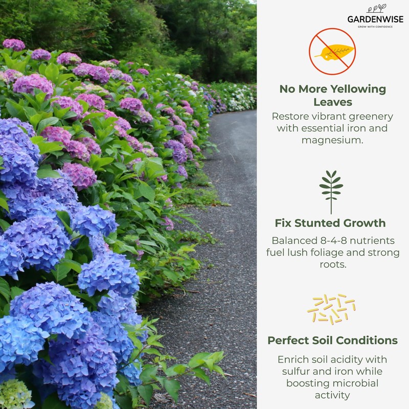 GARDENWISE Slow Release Hydrangea Fertilizer with Iron & Sulfur –