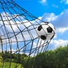 Wiseek Soccer Backstop Net, 15x30ft High Impact Soccer Barrier Net,