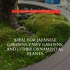 Moss Spores for Bonsai Trees - Covers Up to Three
