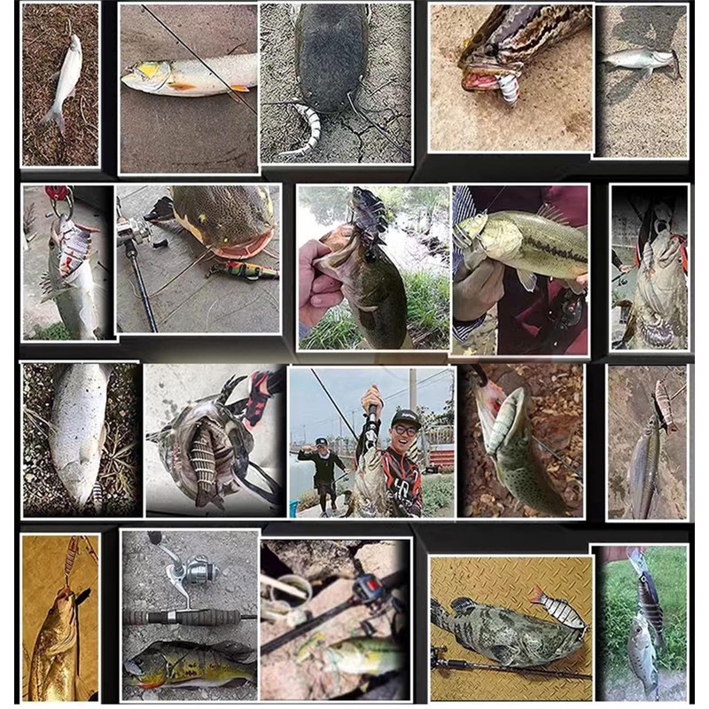 Fishing Lures, Sea Bait for Bass, Perch, Trout, Multi-Jointed Swimbaits,