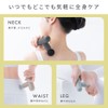 IRIS OHYAMA MICOLA Beauty Care Gun FRT-M01-T Mocha