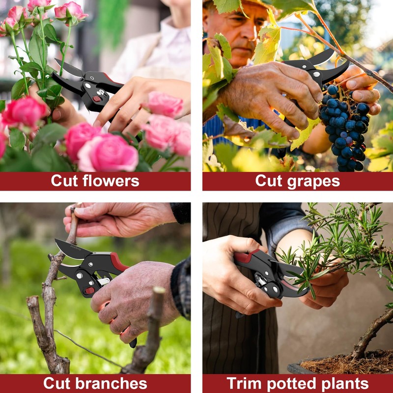 Premium Titanium Secateurs